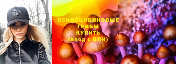 spice Елабуга