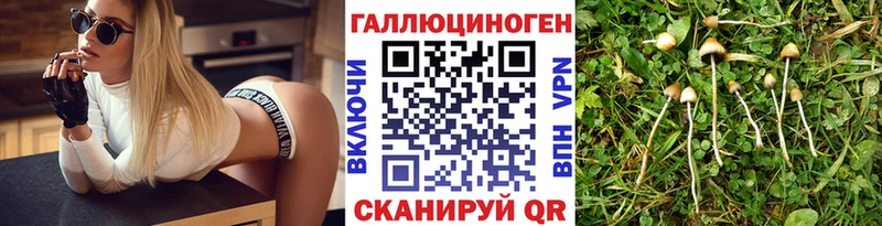 Псилоцибиновые грибы Cubensis купить Себеж